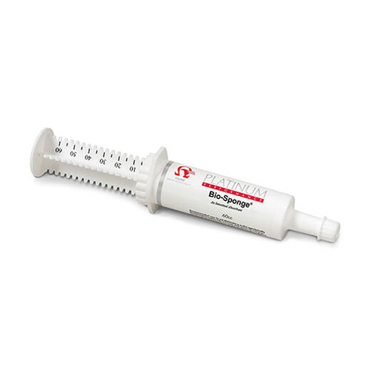 Bio-Sponge&reg; Paste &#40;60cc Syringe&#41;