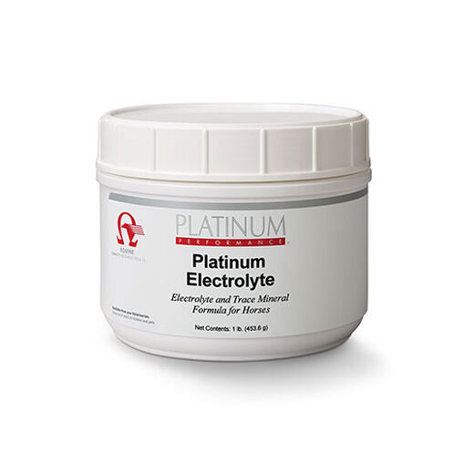 Electrolytes for Horses