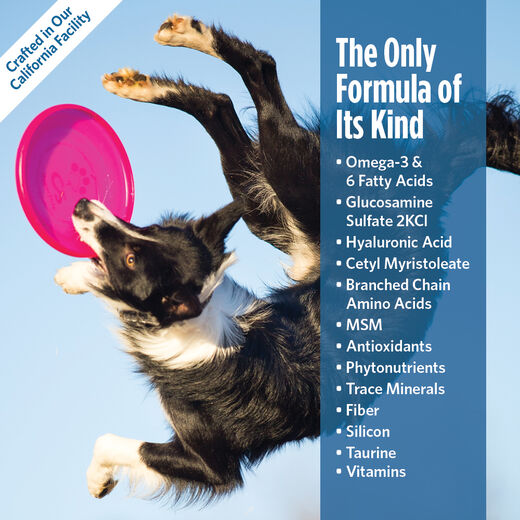 Platinum Performance&reg; Canine CJ