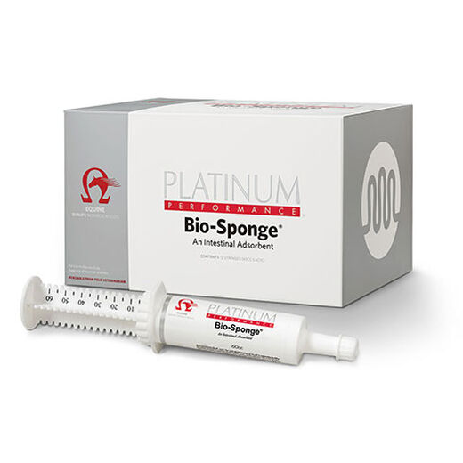 Equine Bio-Sponge Syringe  Gastrointestinal Support for Horses