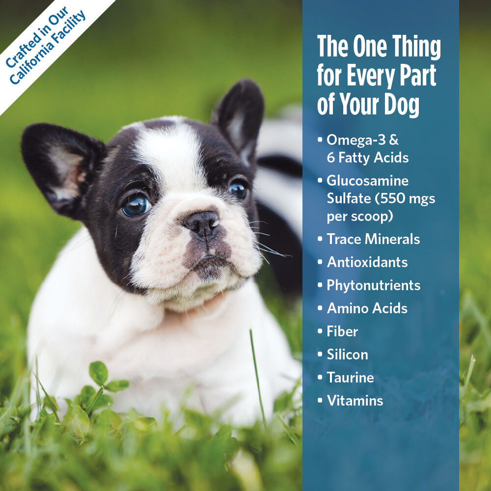 Joint Supplement for Dogs | Canine Glucosamine