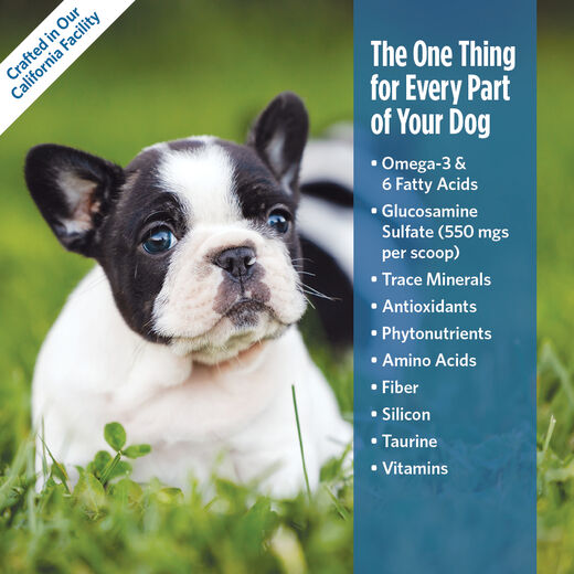 Platinum Performance&reg; Canine PLUS