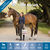 Platinum Performance&reg; Equine