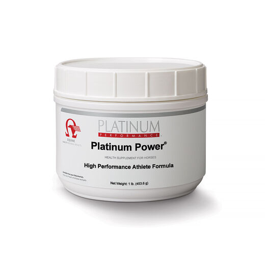 Platinum Power&reg;