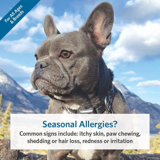 Platinum Skin &amp; Allergy