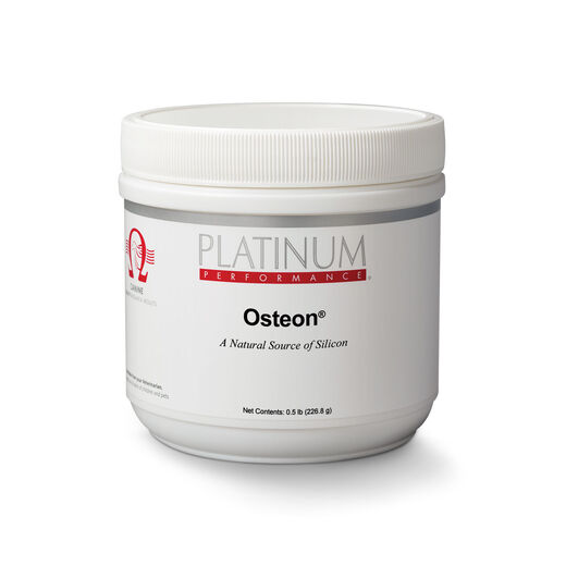 Bone Supplements for Dogs