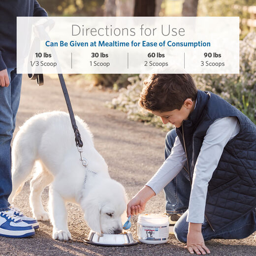 Platinum Performance&reg; Canine CJ