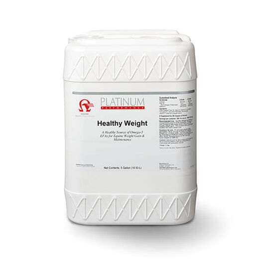Healthy Weight