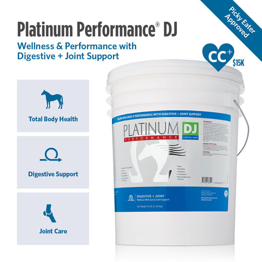 Platinum Performance&reg; DJ