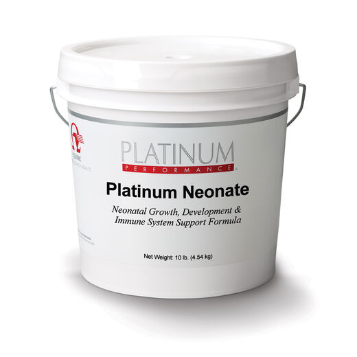 Platinum Neonate