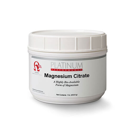 Magnesium for Horses