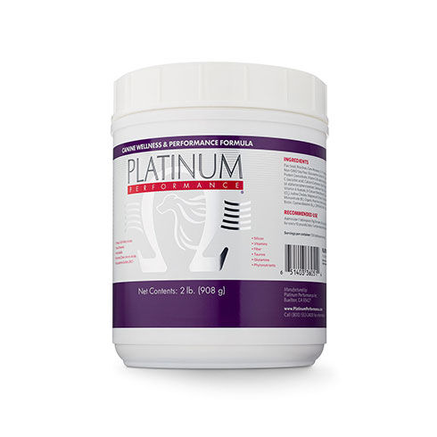 dog performance supplements