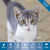 Platinum Performance&reg; Feline