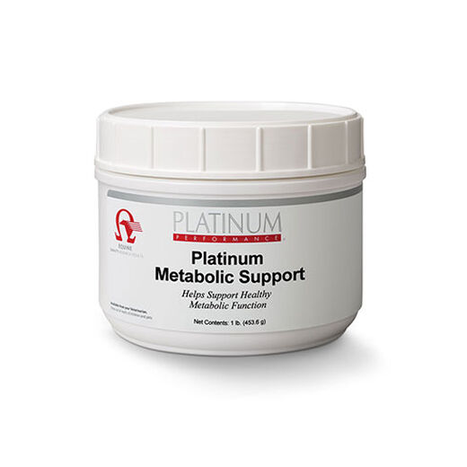 Equine Metabolic Support for Horses