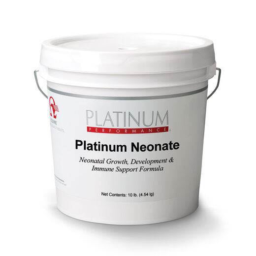 Equine Platinum Neonate 
