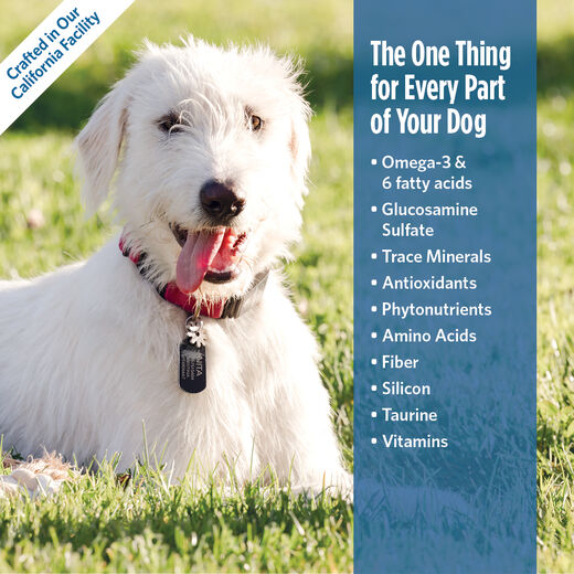Platinum Performance&reg; Canine