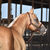 Nichols Quarter Horses&#39; Formulas for Success