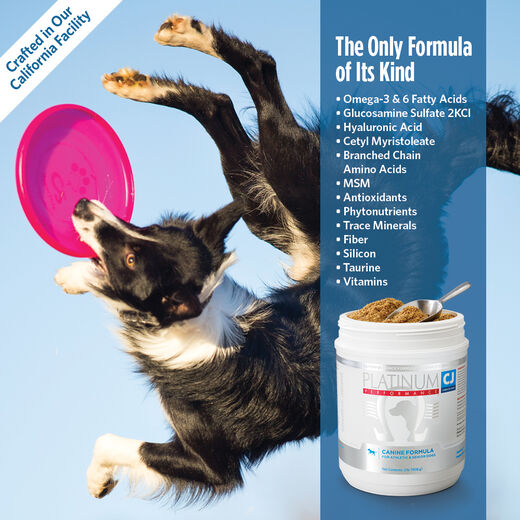 Platinum Performance&reg; Canine CJ