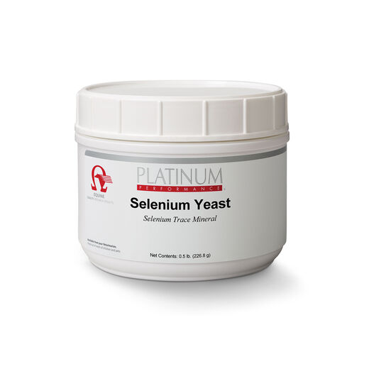 Selenium Yeast