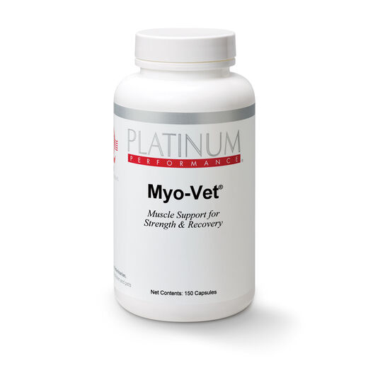 Dog Muscle Supplements