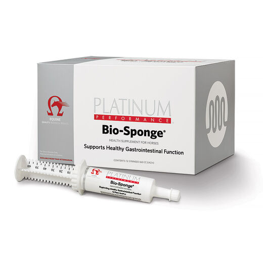 Bio-Sponge&reg; Paste (60cc Syringe)
