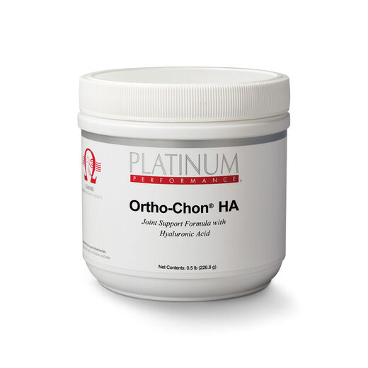 Ortho-Chon&reg; HA