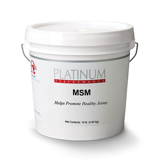 MSM