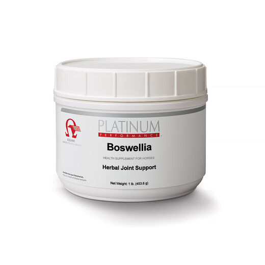 Boswellia