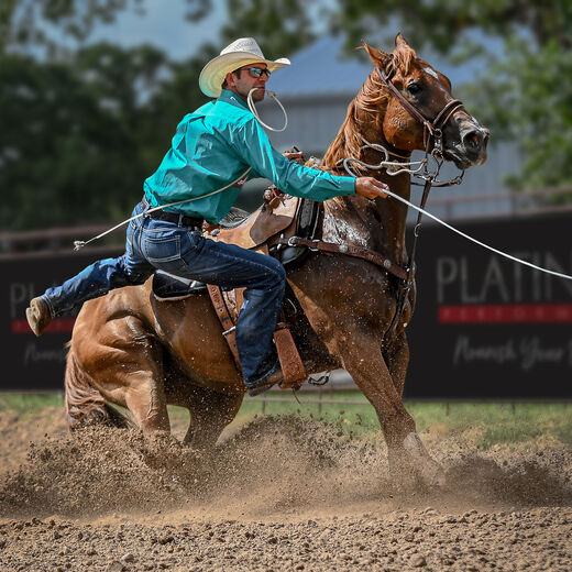 Shane Hanchey&#39;s Formulas for Success