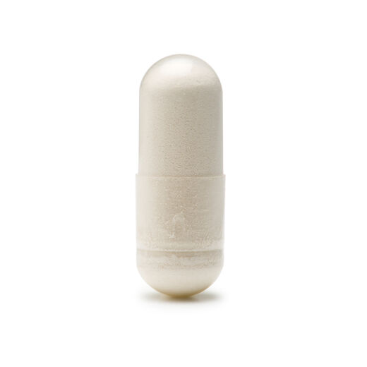 Bio-Sponge&reg;