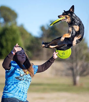 Is dog frisbee a sport?