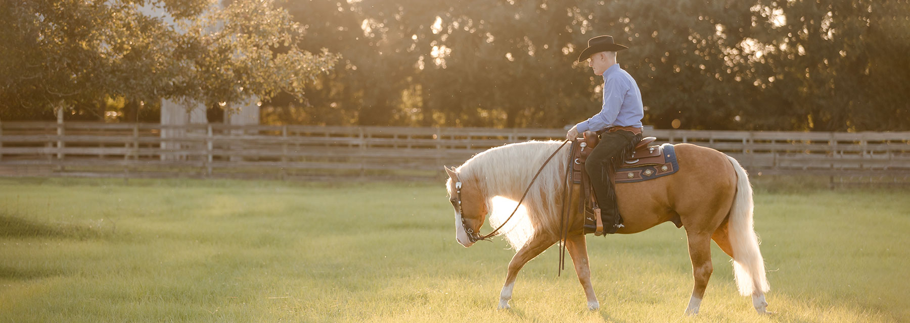 Lyle Lovett riding stallion