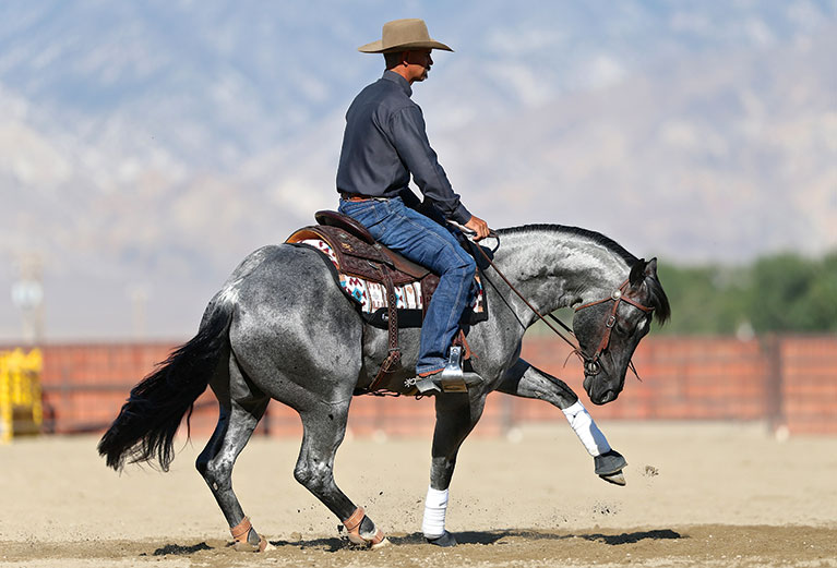 precision medicine for genetics in horses