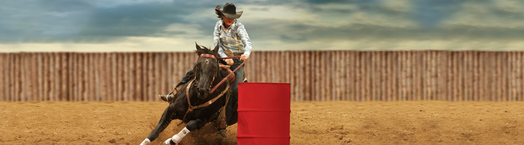 Barrel Horse Muscle And Joint Support Barrel Horse Muscle And Joint Support