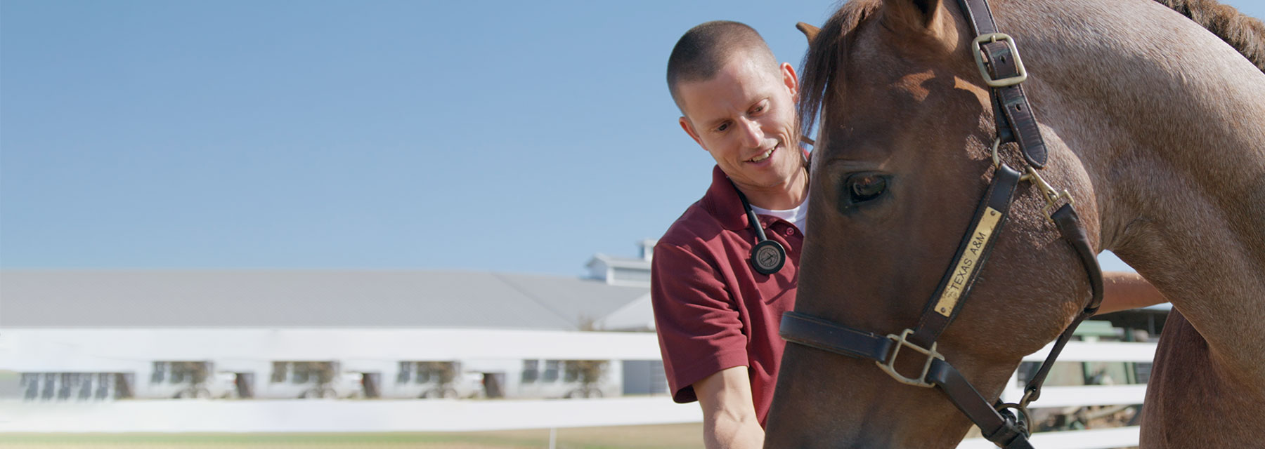 Dr. Canaan Whitfield and horse