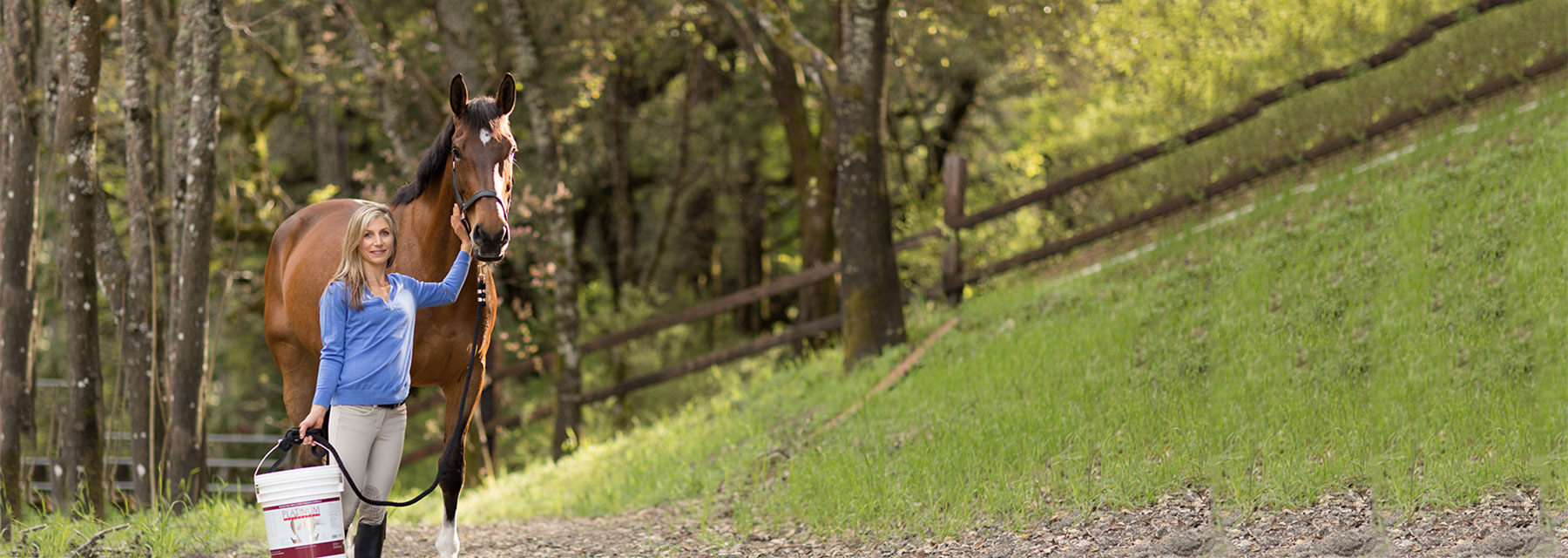 Selenium for Horses Selenium Horse Supplement