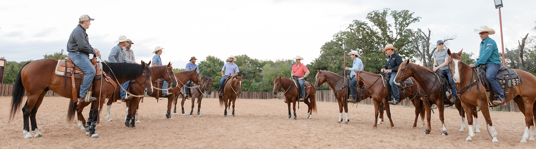 War Horses Challenge Riders