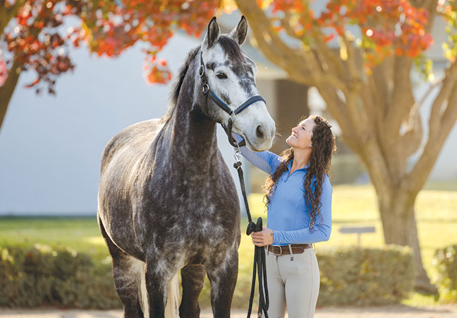 wellness, digestive and joint care