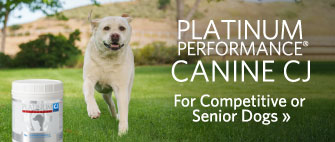 Platinum Performance® Canine CJ, for competitive or senior dogs