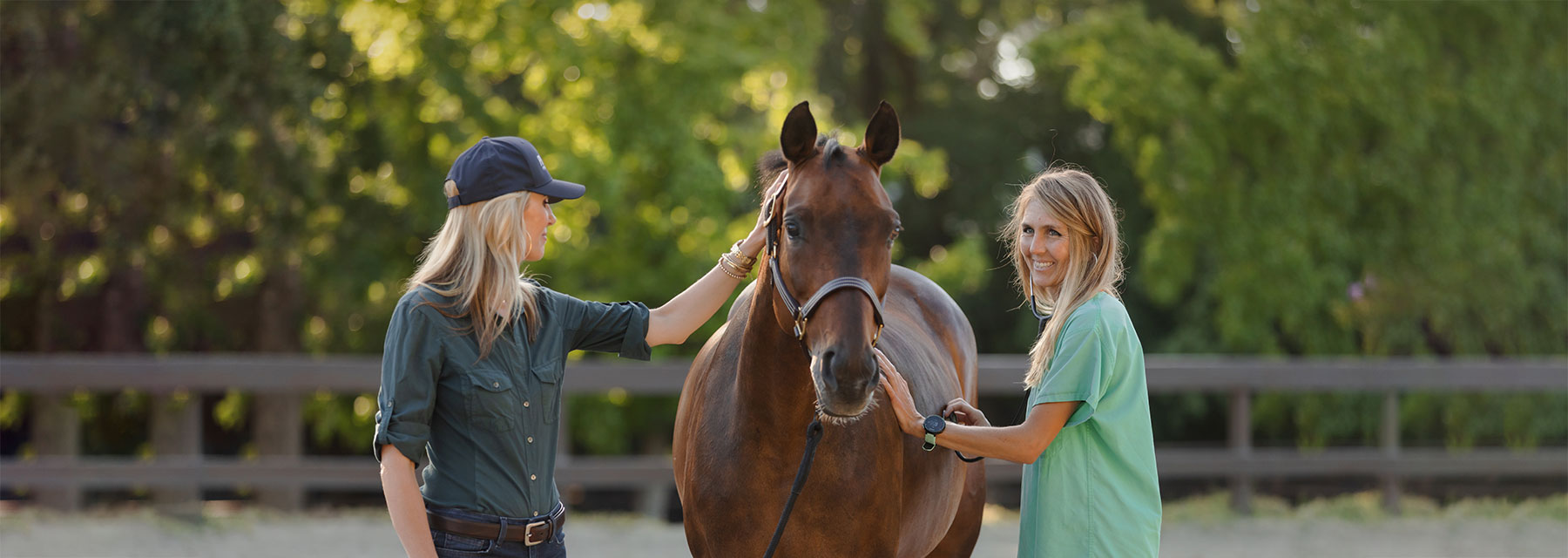 Horse Colic Colic Supplements for Horses