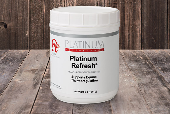 Platinum Refresh bucket