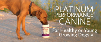 Platinum Performance® Canine, for healthy or young growing dogs