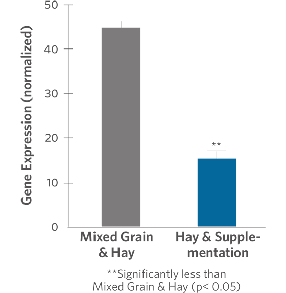 TNF-alpha Gene Expression in Horses Consuming a Hay chart