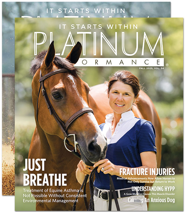 Platinum Magazines