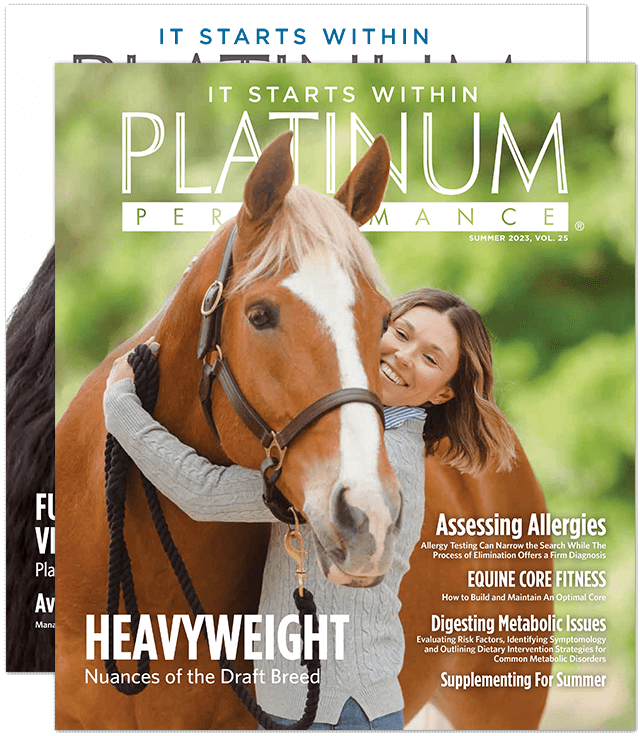 Platinum Magazines