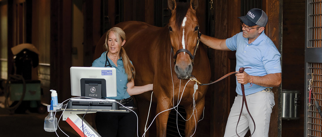 Platinum advisor with her horse