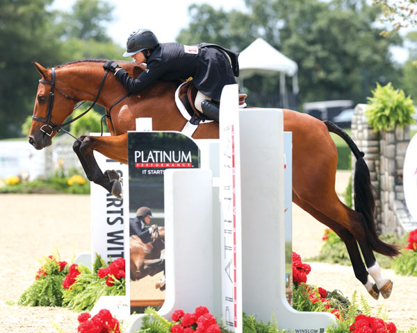 Victoria Colvin and Odette jumping in hunter competition