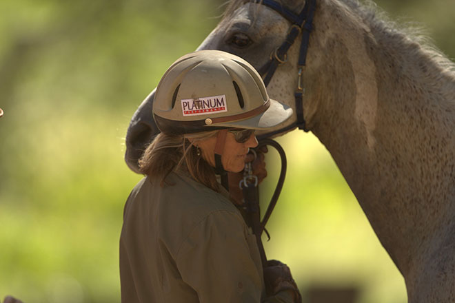 fresh pasture for endurance horses