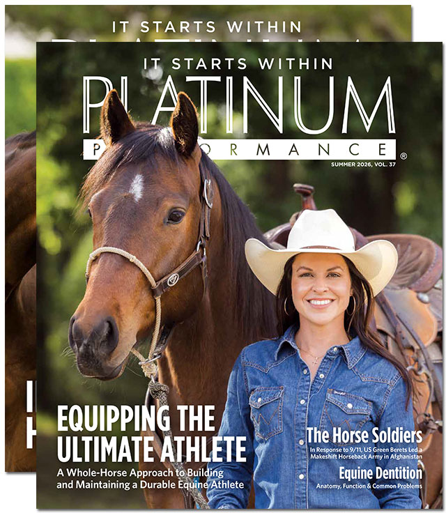 Platinum Magazines