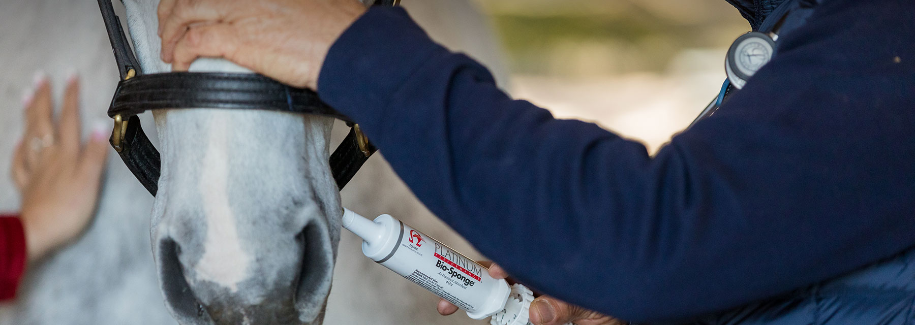 Equine Bio-Sponge Syringe  Gastrointestinal Support for Horses